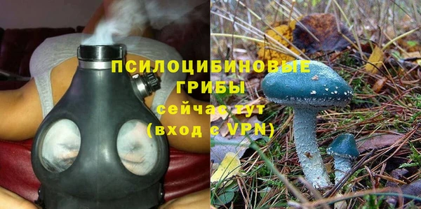 спиды Артём