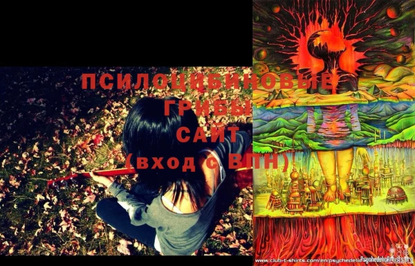мдпв Абинск