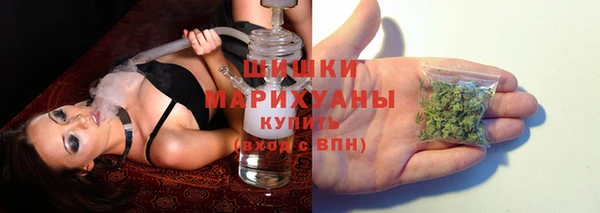 хмурый Мегион