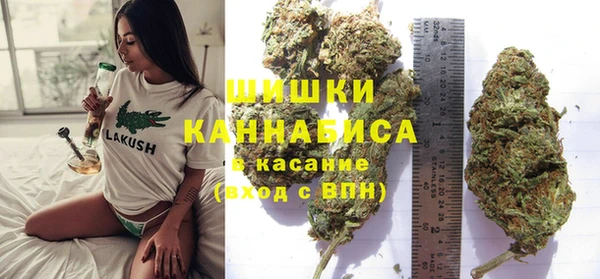 PSILOCYBIN Медвежьегорск