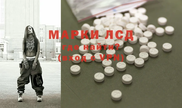 PSILOCYBIN Медвежьегорск