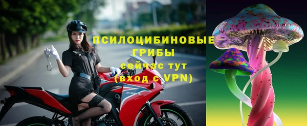 хмурый Мегион