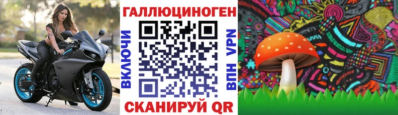 Галлюциногенные грибы мицелий  Владимир 