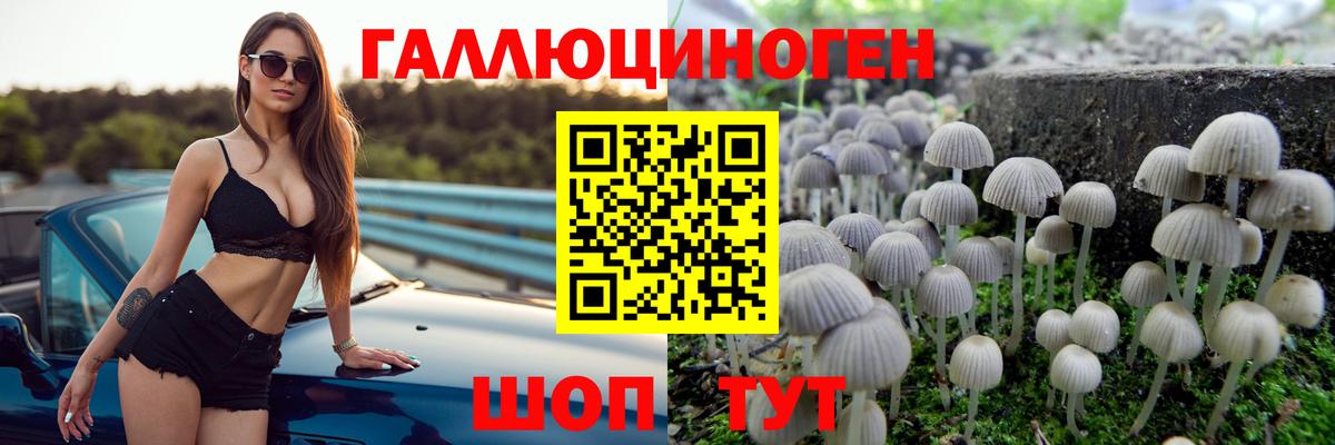 Галлюциногенные грибы Psilocybe  Вход с VPN  Владимир  Галлюциногенные грибы прущие грибы 