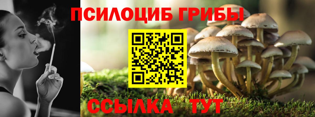 БУТИРАТ Владимир