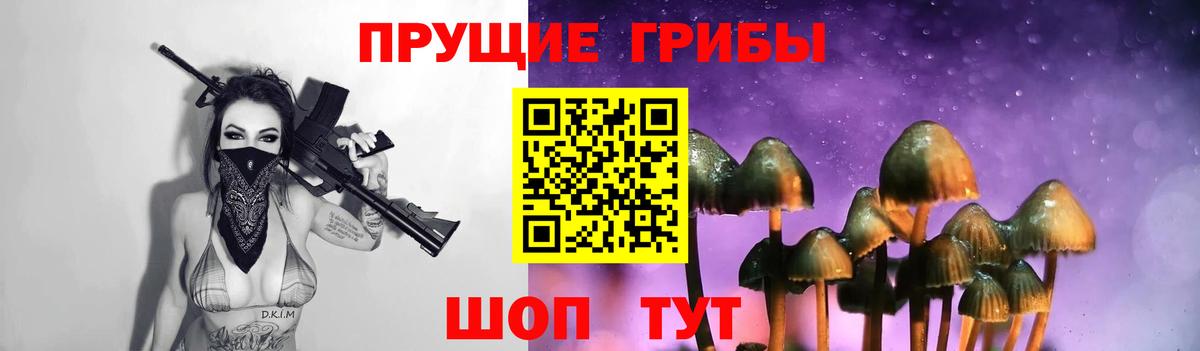 Псилоцибиновые грибы ЛСД Владимир