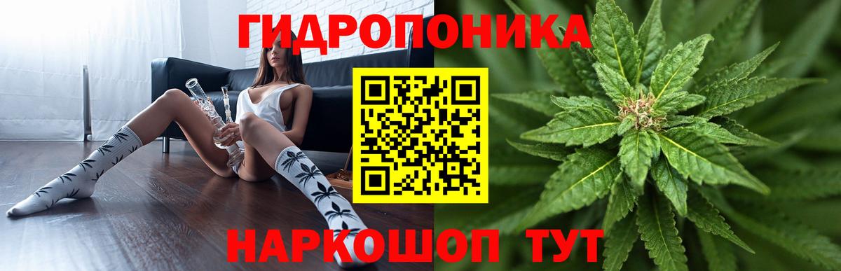 Бошки Шишки LSD WEED  МАРИХУАНА Ganja  Вход с VPN  Канабис SATIVA & INDICA  Владимир 